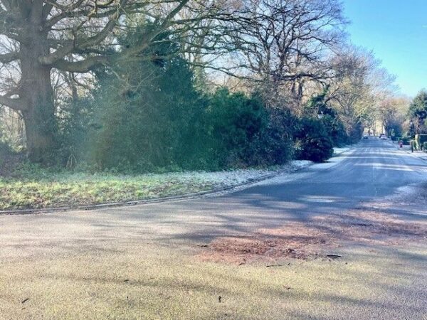 Reed Pond Walk, Gidea Park